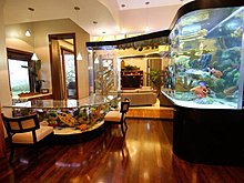 aquarium_ideeas_04.jpg