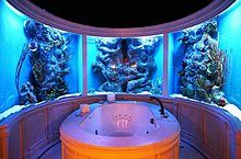 aquarium_ideeas_11.jpg