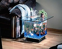 aquarium_ideeas_13.jpg