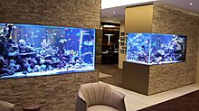 aquarium_ideeas_16.jpg