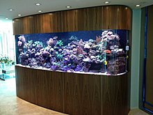 aquarium_ideeas_17.jpg