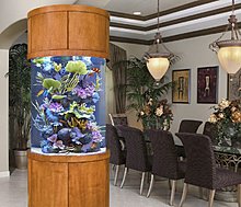 aquarium_ideeas_23.jpg