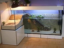 aquarium_ideeas_24.jpg