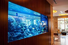 aquarium_ideeas_28.jpg