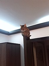 img_20141008_201037.jpg