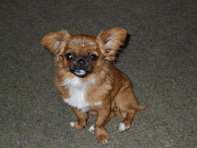 dscf2192.jpg