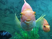 img_20150210_133100.jpg