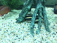 img_20150224_160359.jpg