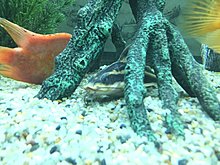 img_20150224_160431.jpg
