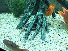 img_20150224_160444.jpg