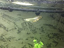 img_20150224_160530.jpg