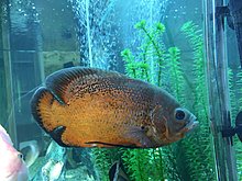 img_20150309_143156.jpg