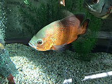 img_20150309_143209.jpg