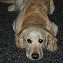 aldo_img_3135.jpg