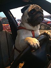 imageuploadedbytapatalk1440869377.299262.jpg