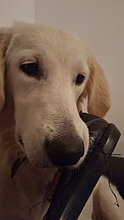 2015-12-08-18.17.37.jpg