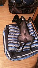 img_20150503_003703.jpg