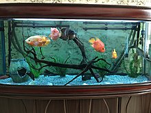 img_0092.jpg