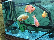 img_0102.jpg