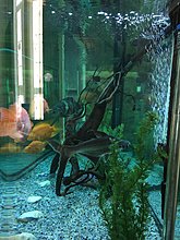 img_0103.jpg
