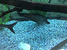 img_0106.jpg
