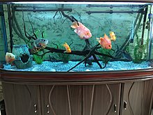 img_0107.jpg