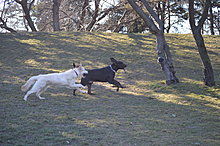 dsc_2536.jpg