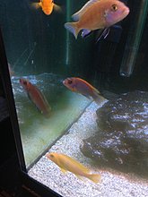 img_7665.jpg