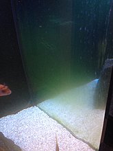 img_7664.jpg
