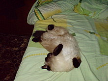 dsc00139.jpg