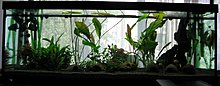 img_4187.jpg