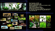 project_aquamonk_v0.1_small.jpg