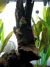 img_4261.jpg