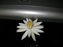 img_4307.jpg