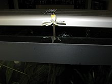 img_4309.jpg