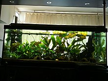 img_0010.jpg
