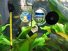 aquamonk_img_4866.jpg