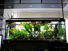aquamonk_img_4902.jpg