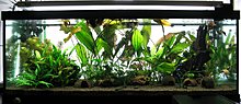 aquamonk_img_4908.jpg