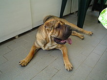 taison-08.jpg