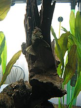 img_4261.jpg