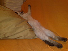 20092009356.jpg