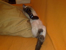20092009358.jpg