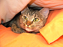 dscf24672.jpg