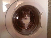 mitzi-2.jpg