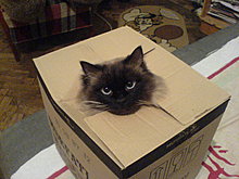 dsc08124.jpg