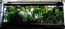 aquamonk_img_5936.jpg