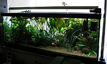 aquamonk_img_5938.jpg