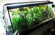 aquamonk_img_5941.jpg
