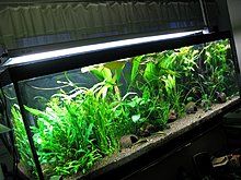 img_6135.jpg